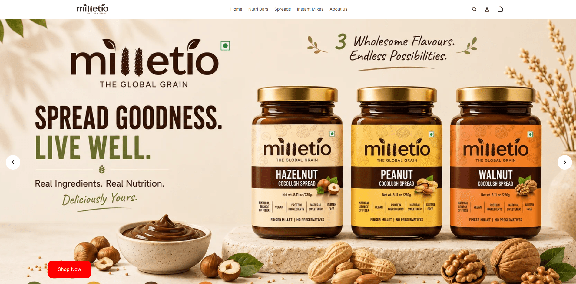 Milletio Global Grain digital marketing portfolio by TrustNova